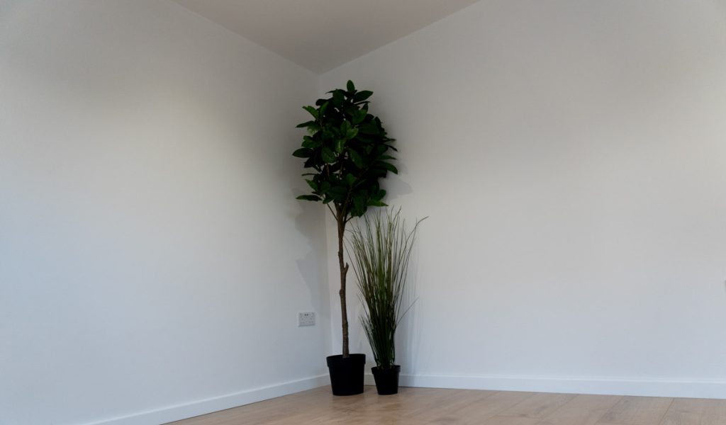 Finished office flooring and plastered walls